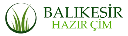 Balıkesir Hazır Çim